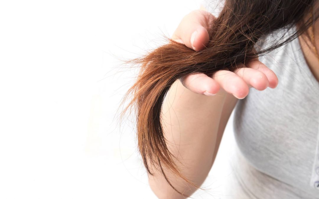 Is your hair looking dry and damaged?
