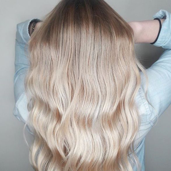 Champagne Glow - Iconic Hairdressing Evesham