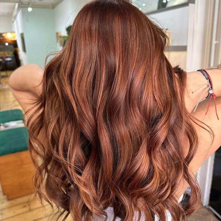 Copper Chestnut